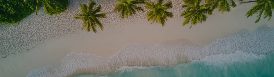 plan my trip